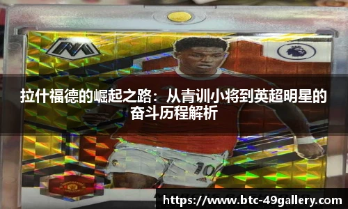 49图库首页